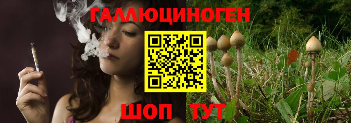 Галлюциногенные грибы MAGIC MUSHROOMS  Вход с VPN  Избербаш  Галлюциногенные грибы прущие грибы 