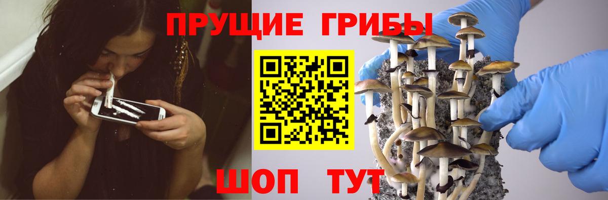 Псилоцибиновые грибы MAGIC MUSHROOMS Избербаш